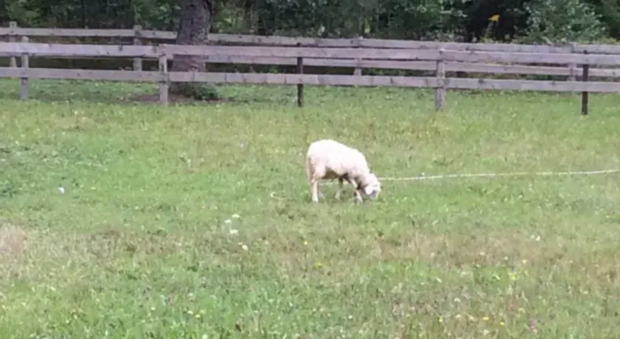 Guest House Depandansa Rute