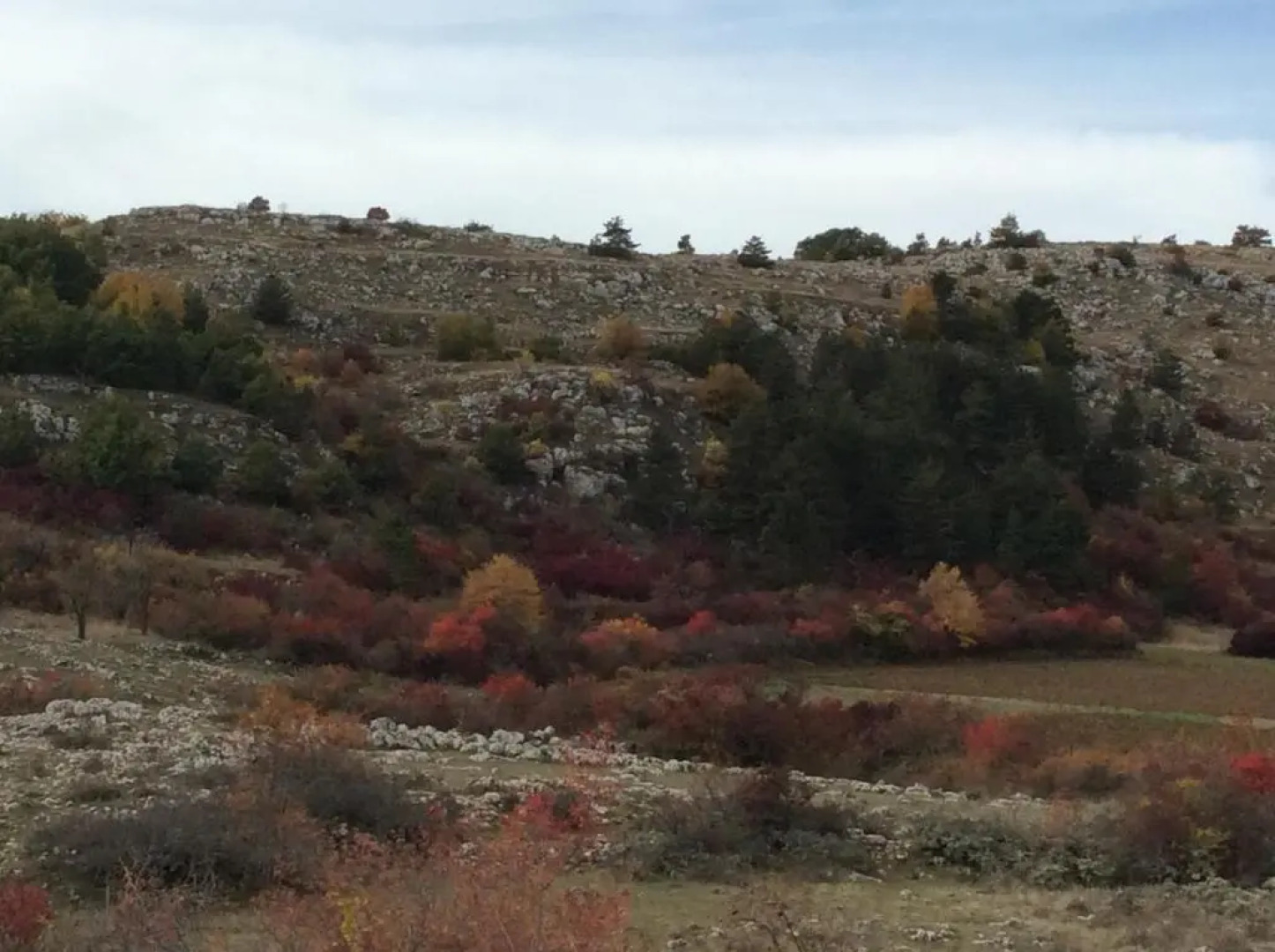 da sciuri case vacanza Barisciano