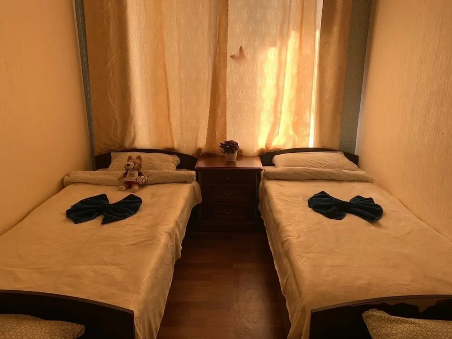 Хостел «Толстой»