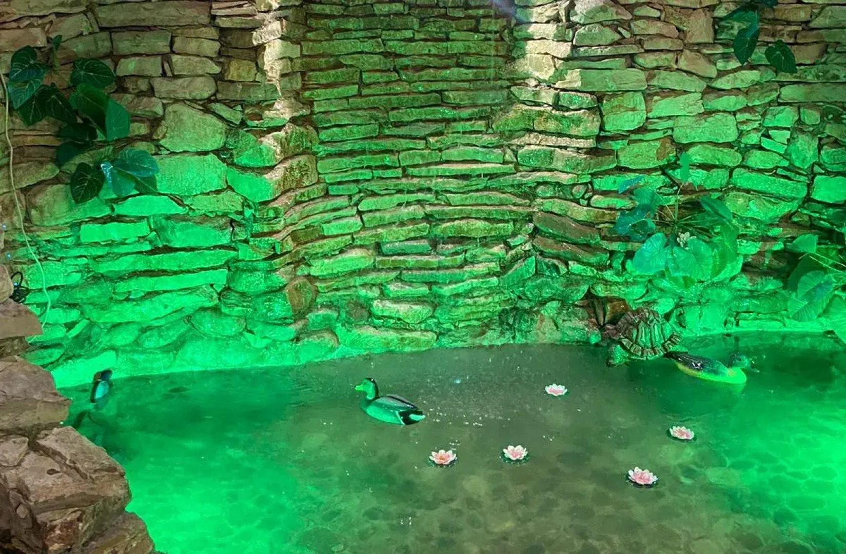 Парк отель Абхазия