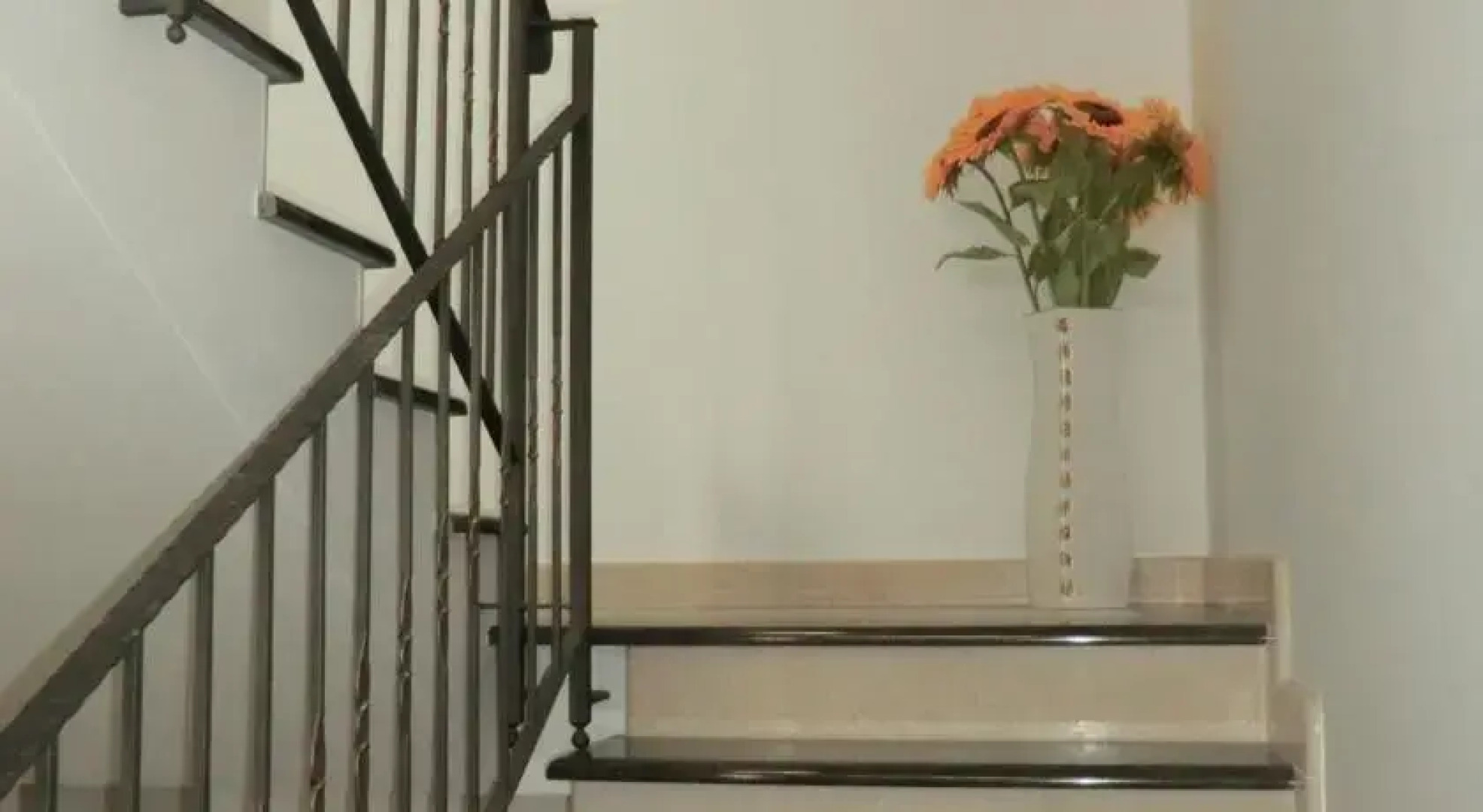 Holidays House Sannì