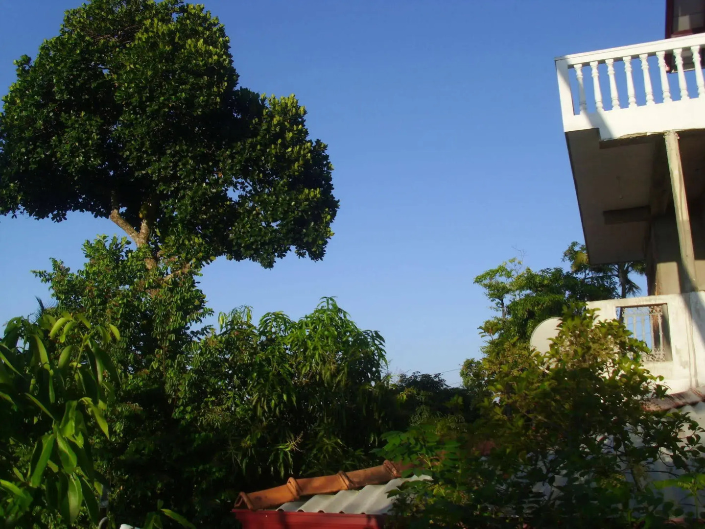 Mount View Villa Resort Mirissa