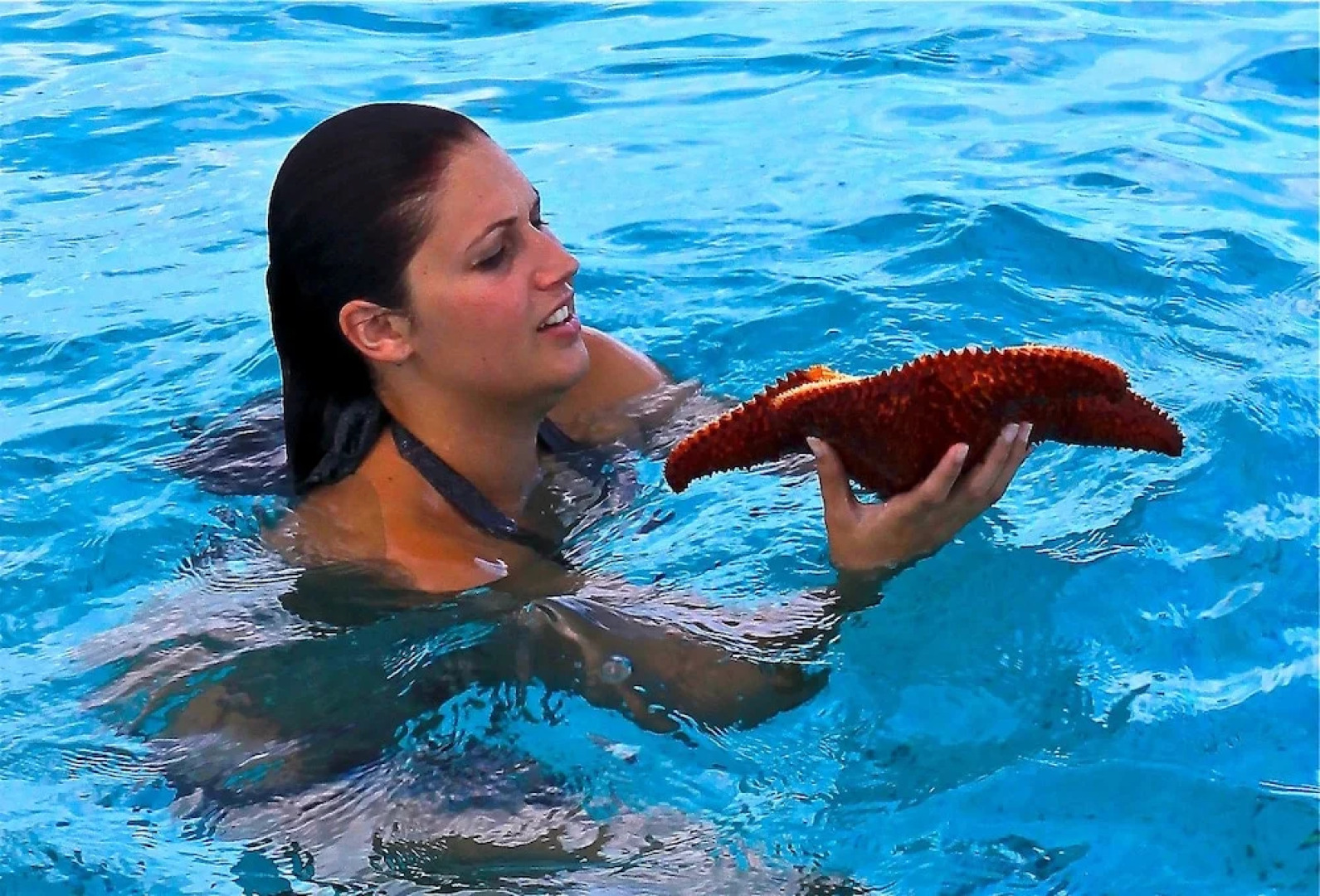 Bimini Sands Resort & Marina