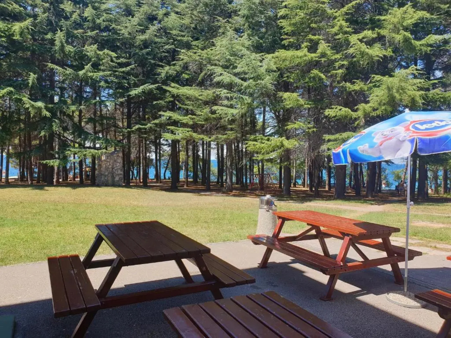 Youth Hostel Pinesta