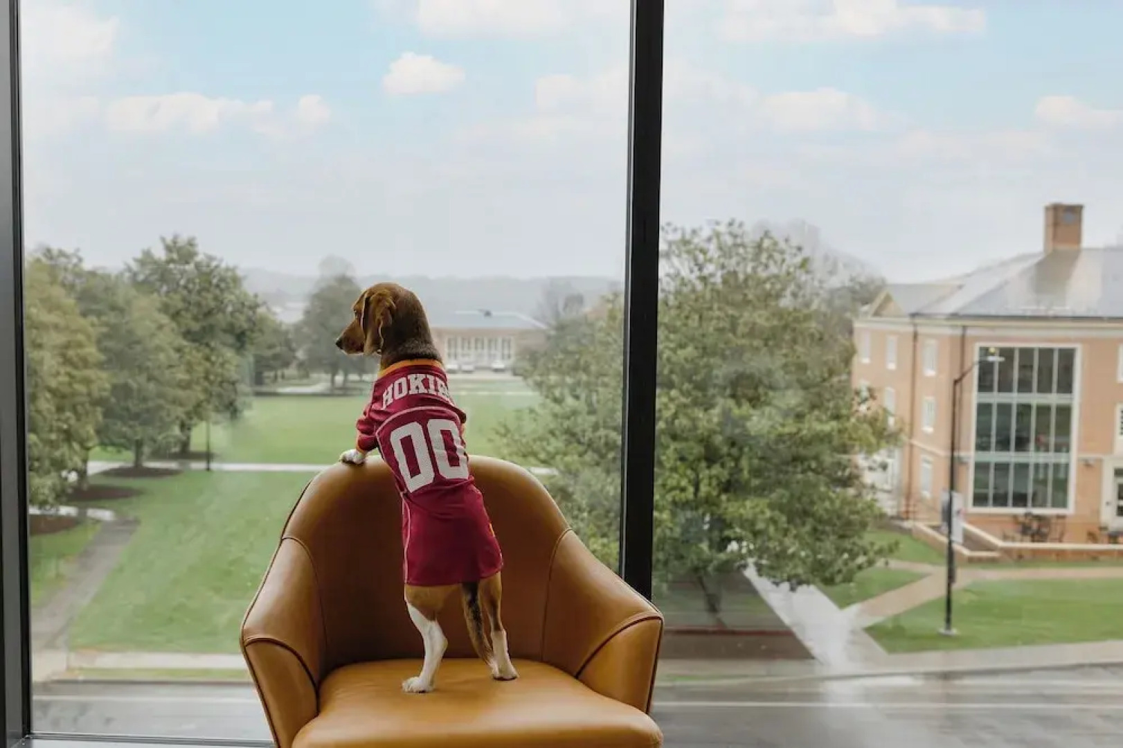 The Highlander at Radford, Tapestry Collection by Hilton