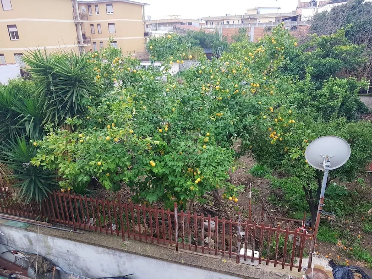 Apartment With one Bedroom in Casagiove, With Enclosed Garden and Wifi