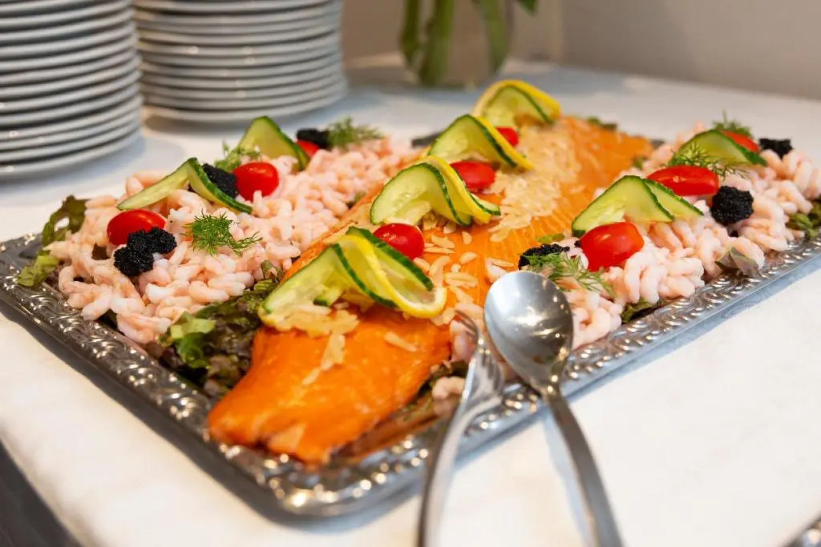 Dolphin Hotel Herning