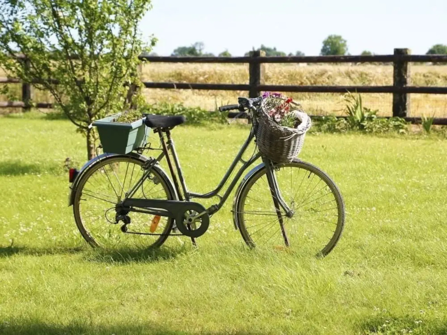 La Ferme de la Gronde