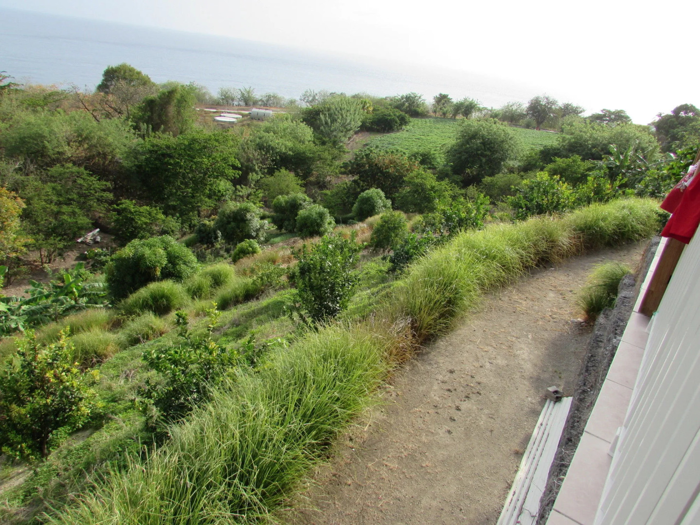 Le Village Pomme Cannelle