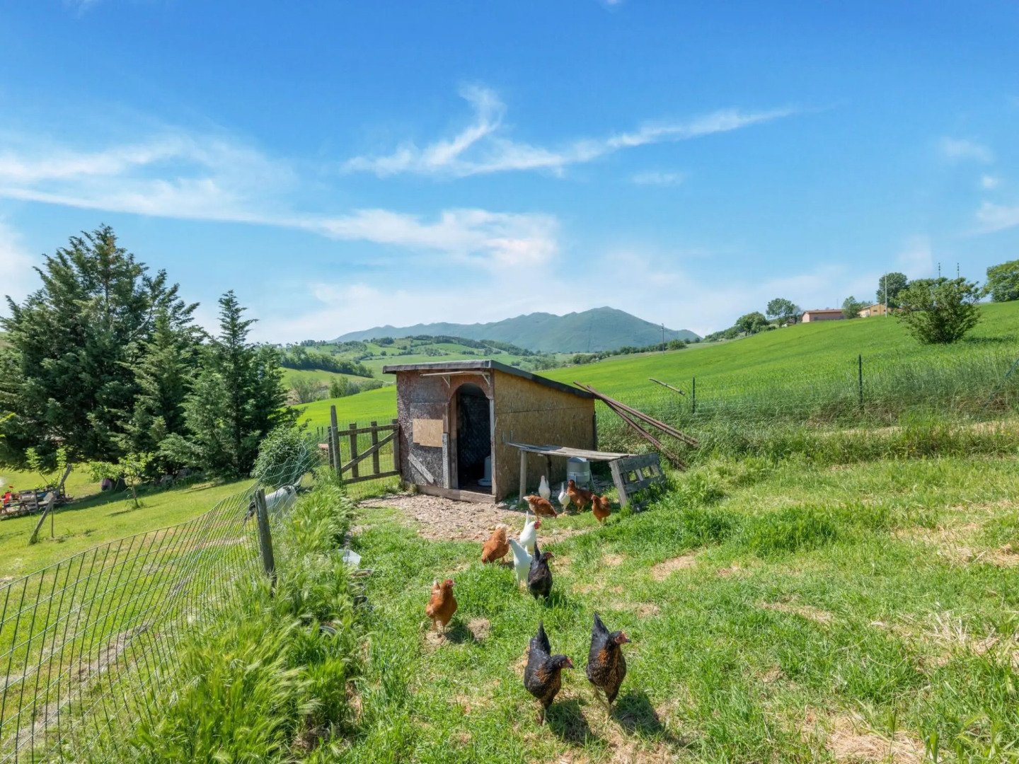 Rural apartment in Matelica with shared pool