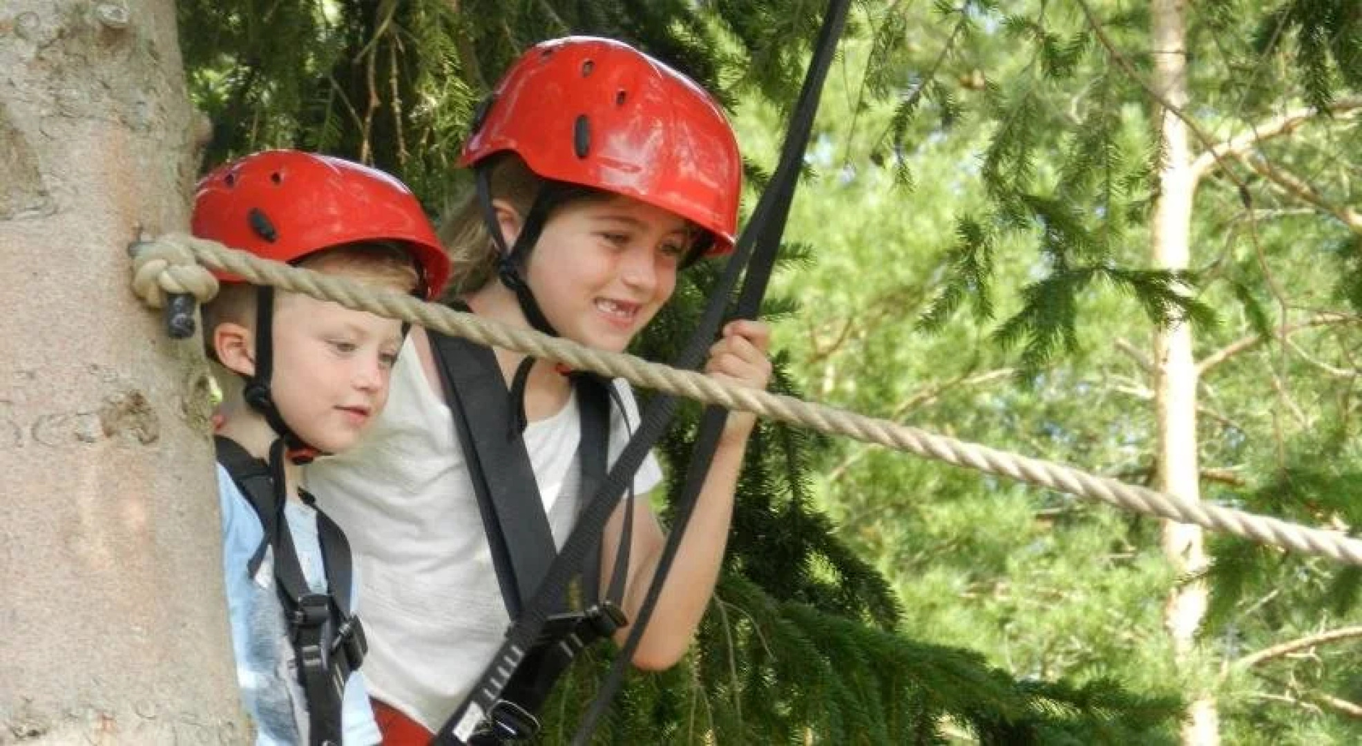 Nils Holgerssons Värld