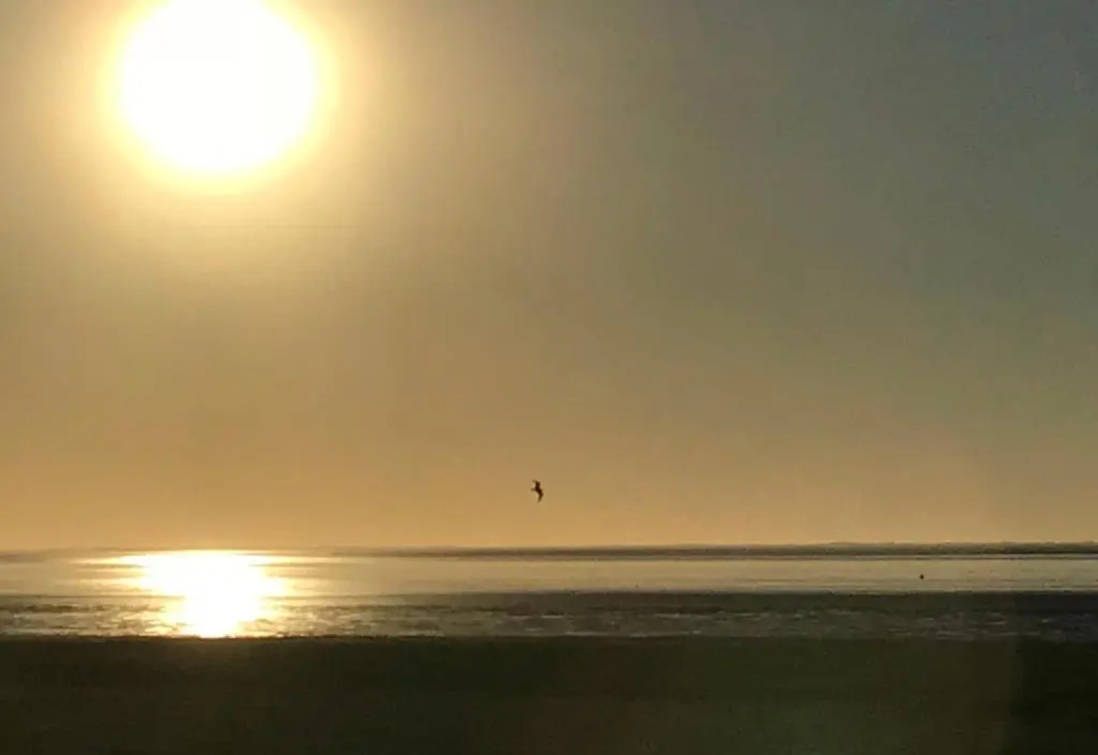 Vakantiehuis Tzummarum