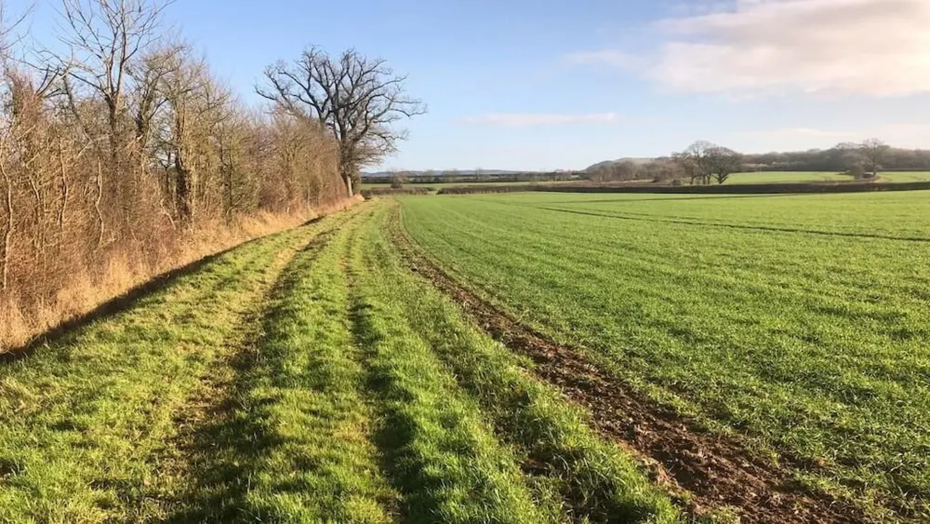 Forest view Bed and Breakfast