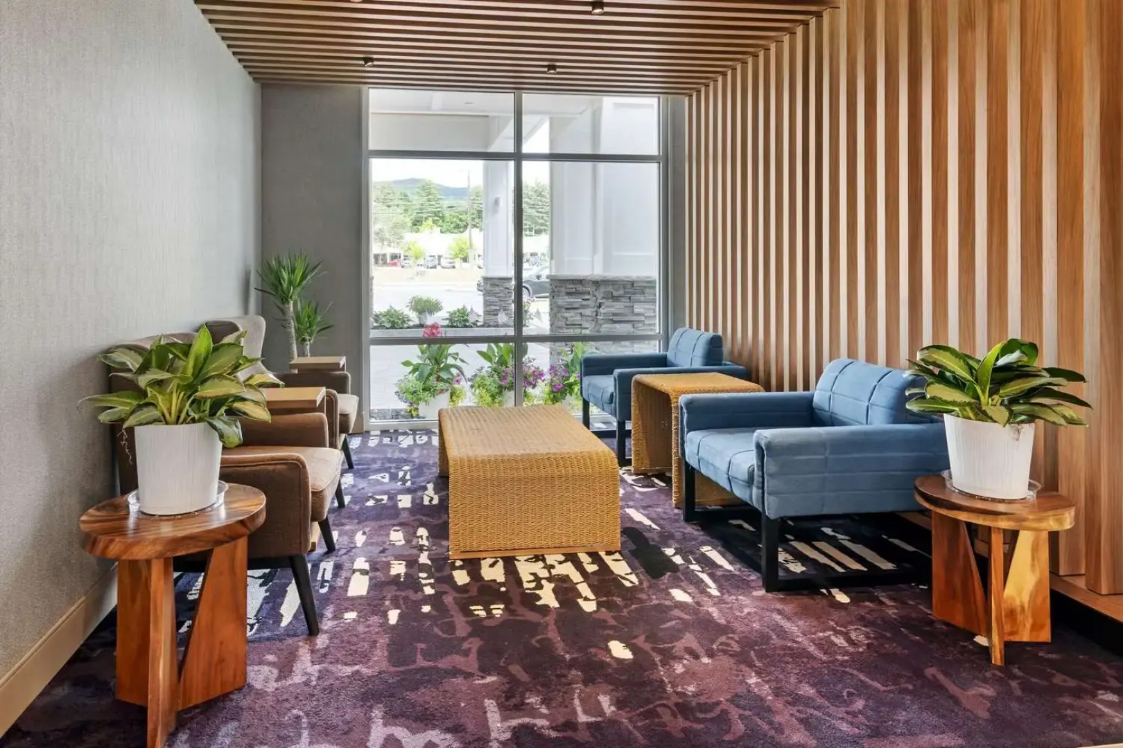 Cambria Hotel North Conway