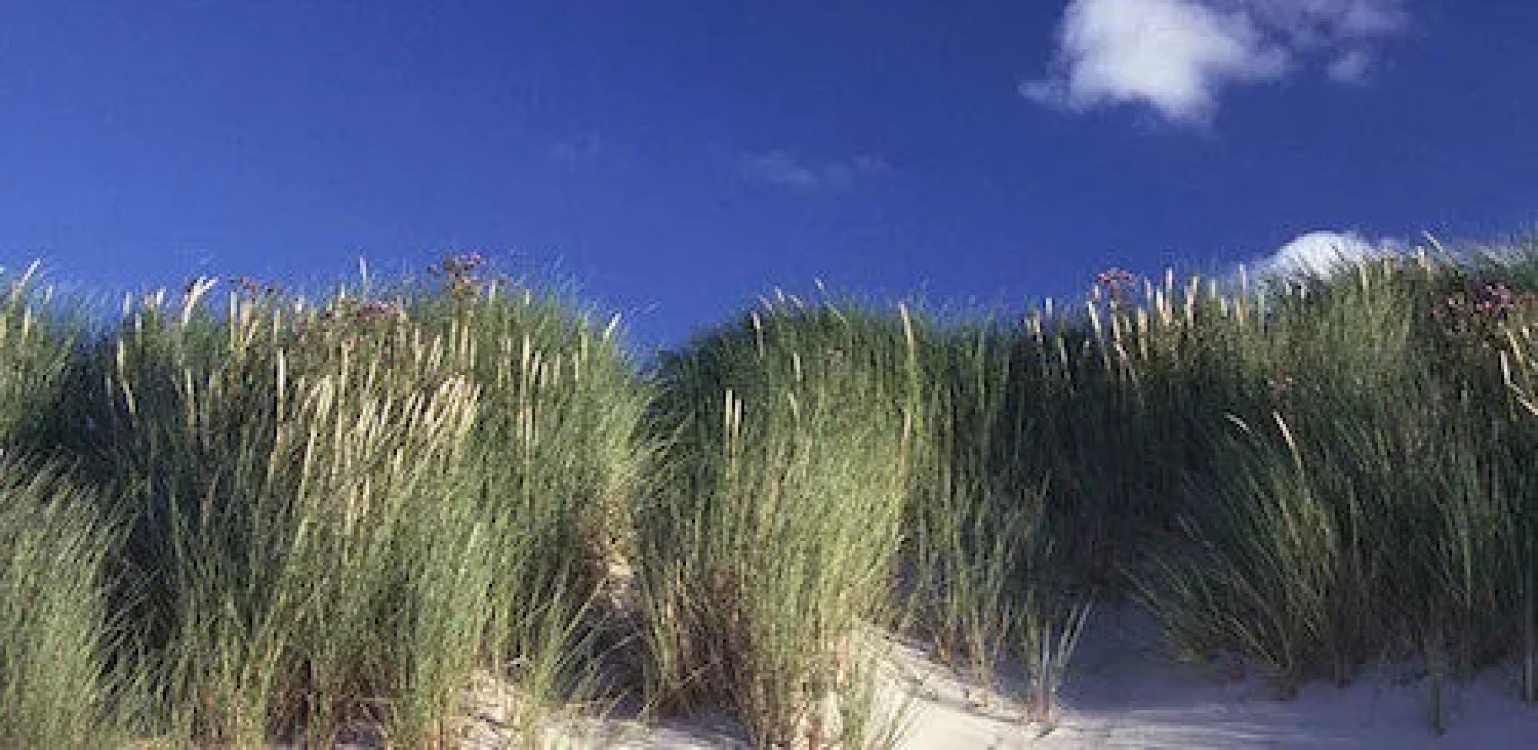 Hotel Brasserie Om de Noord