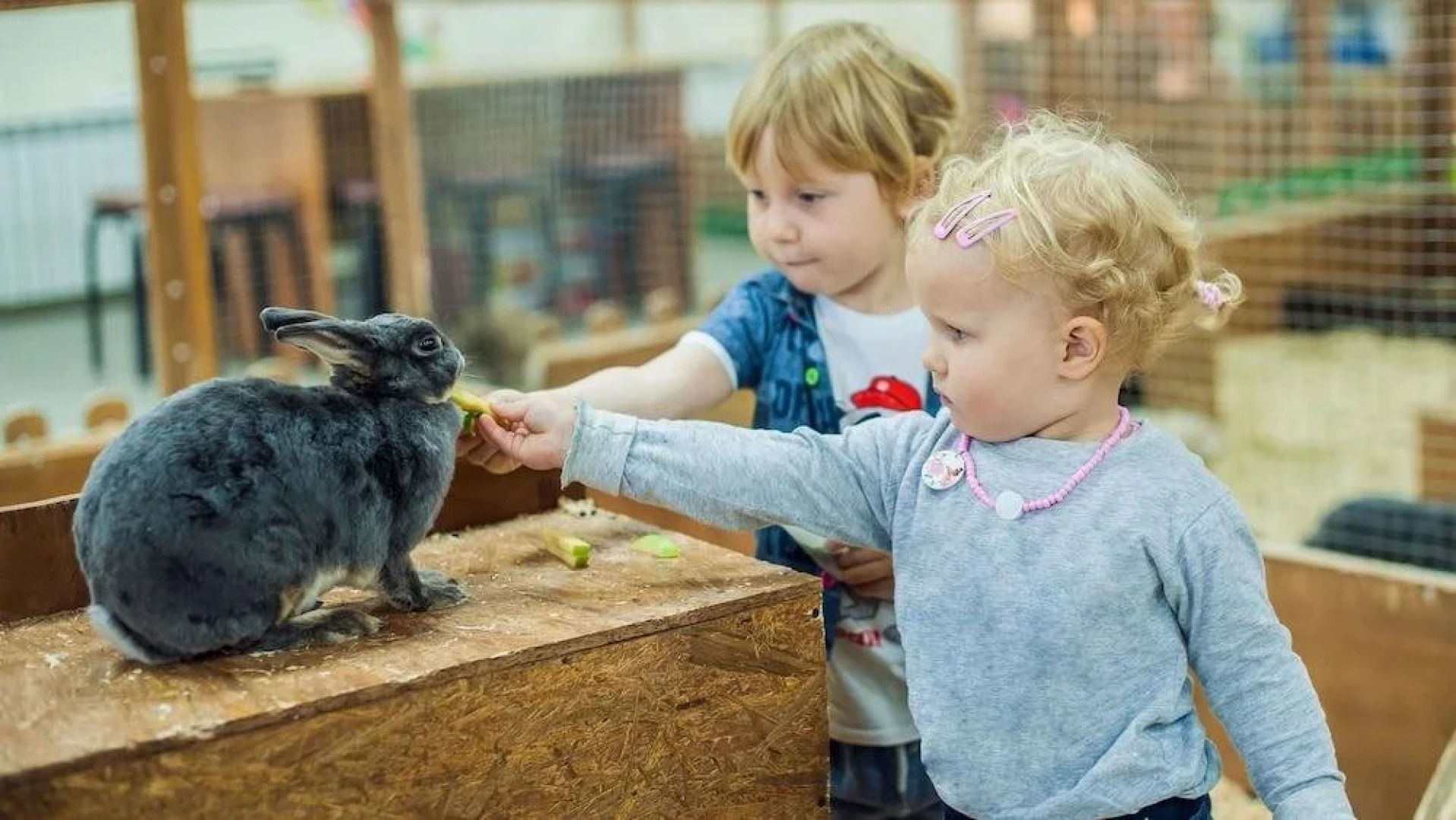 Mangnuson Hotel East Sandusky