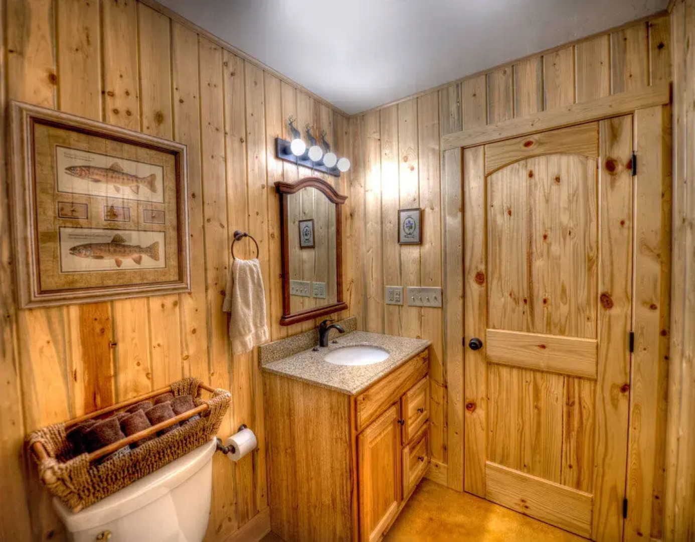 Wild Skies Cabin Rentals