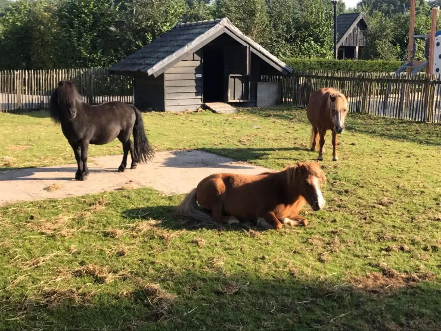 Groepsboerderij 20 Pers.