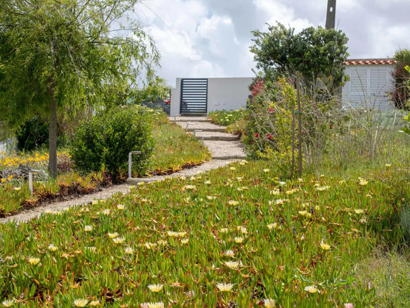 Oceanview Cliff Retreat