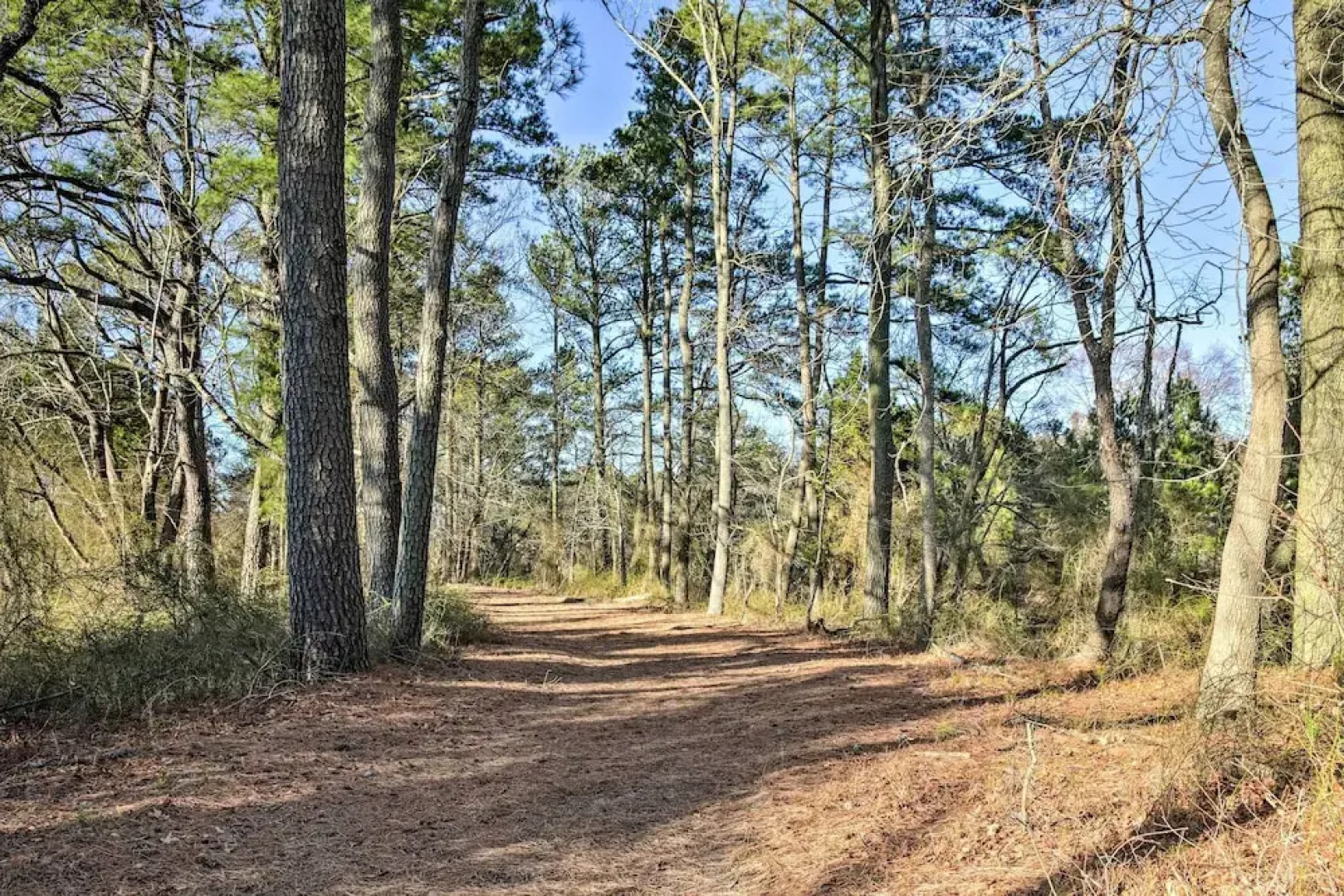 2 Mi to Bethany Beach: Family-friendly Home!