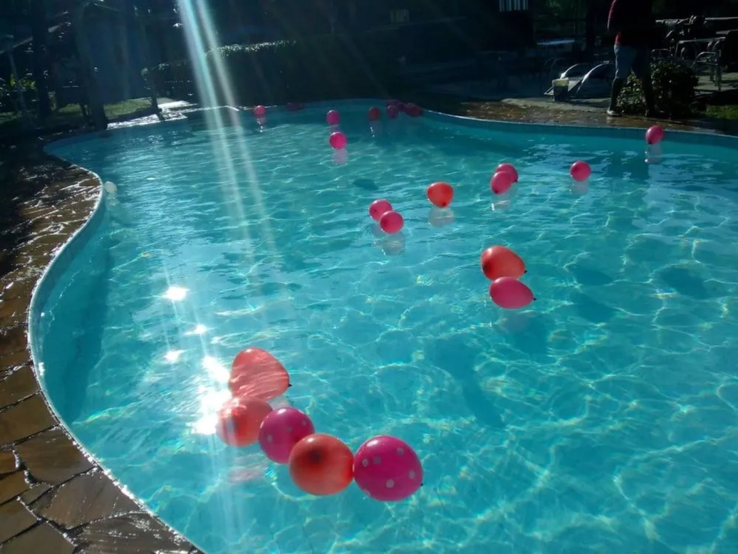 Pousada Recanto dos Cisnes