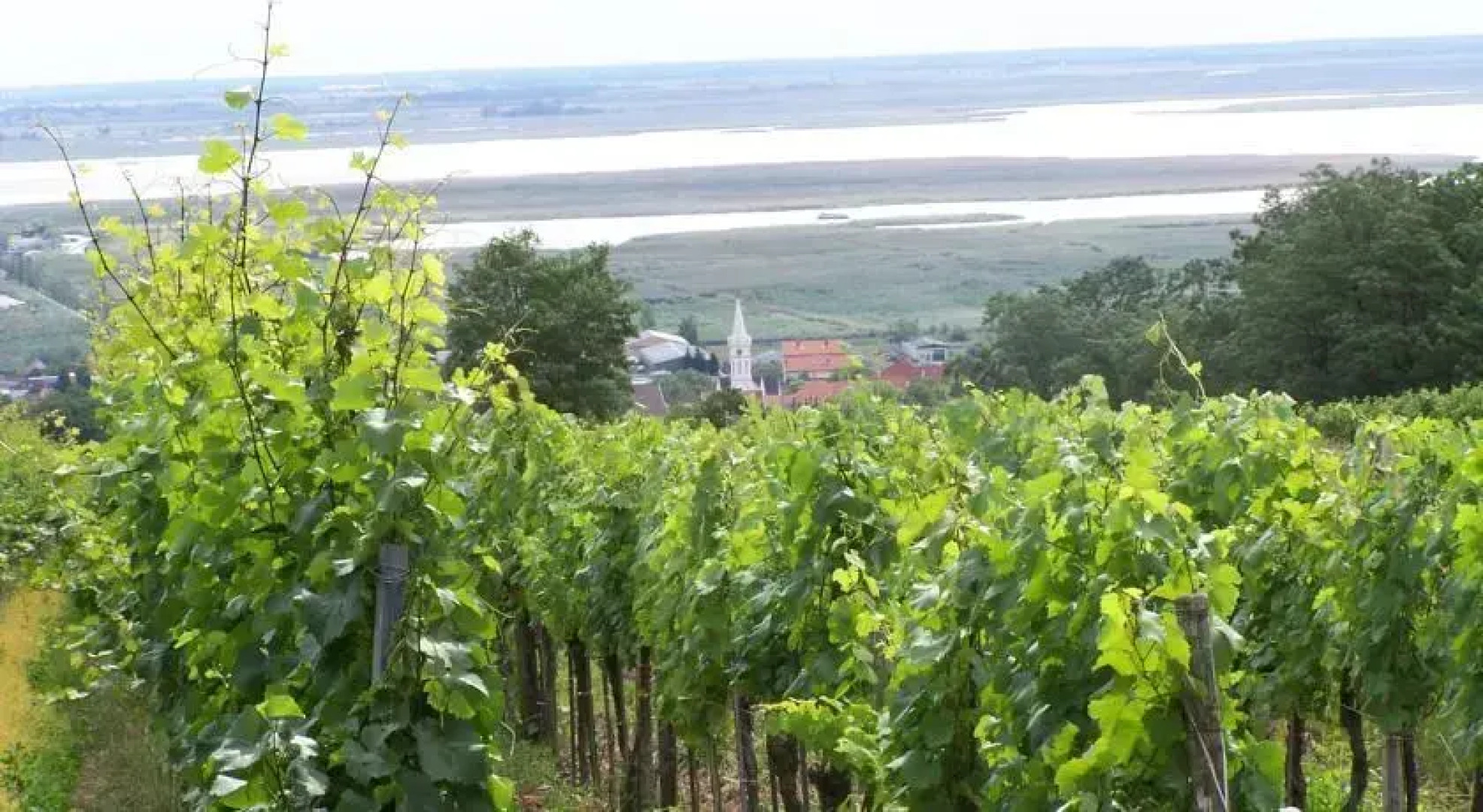 Gartenpension Fischl