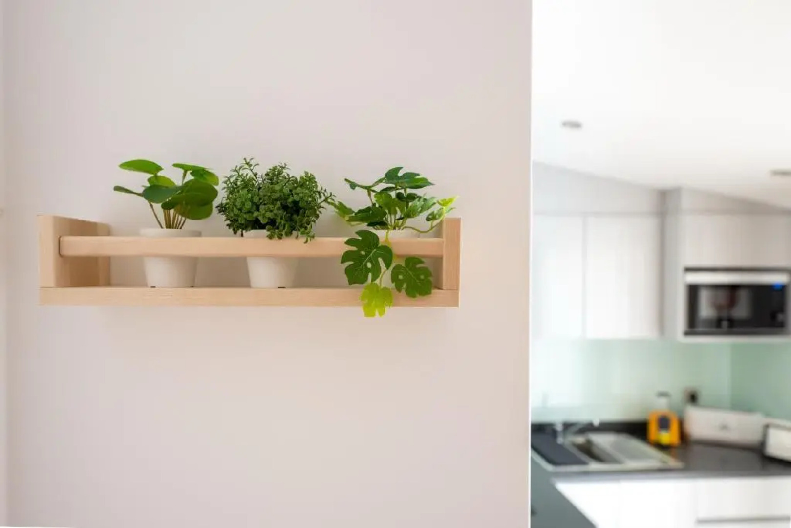 9 Quartos Alojamento