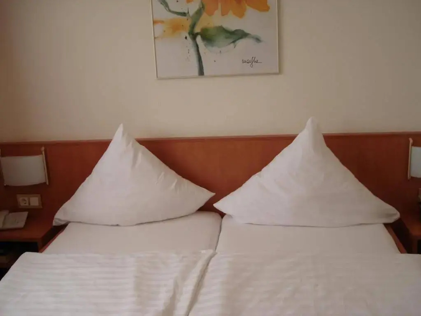 Panorama Hotel am Frankenstein