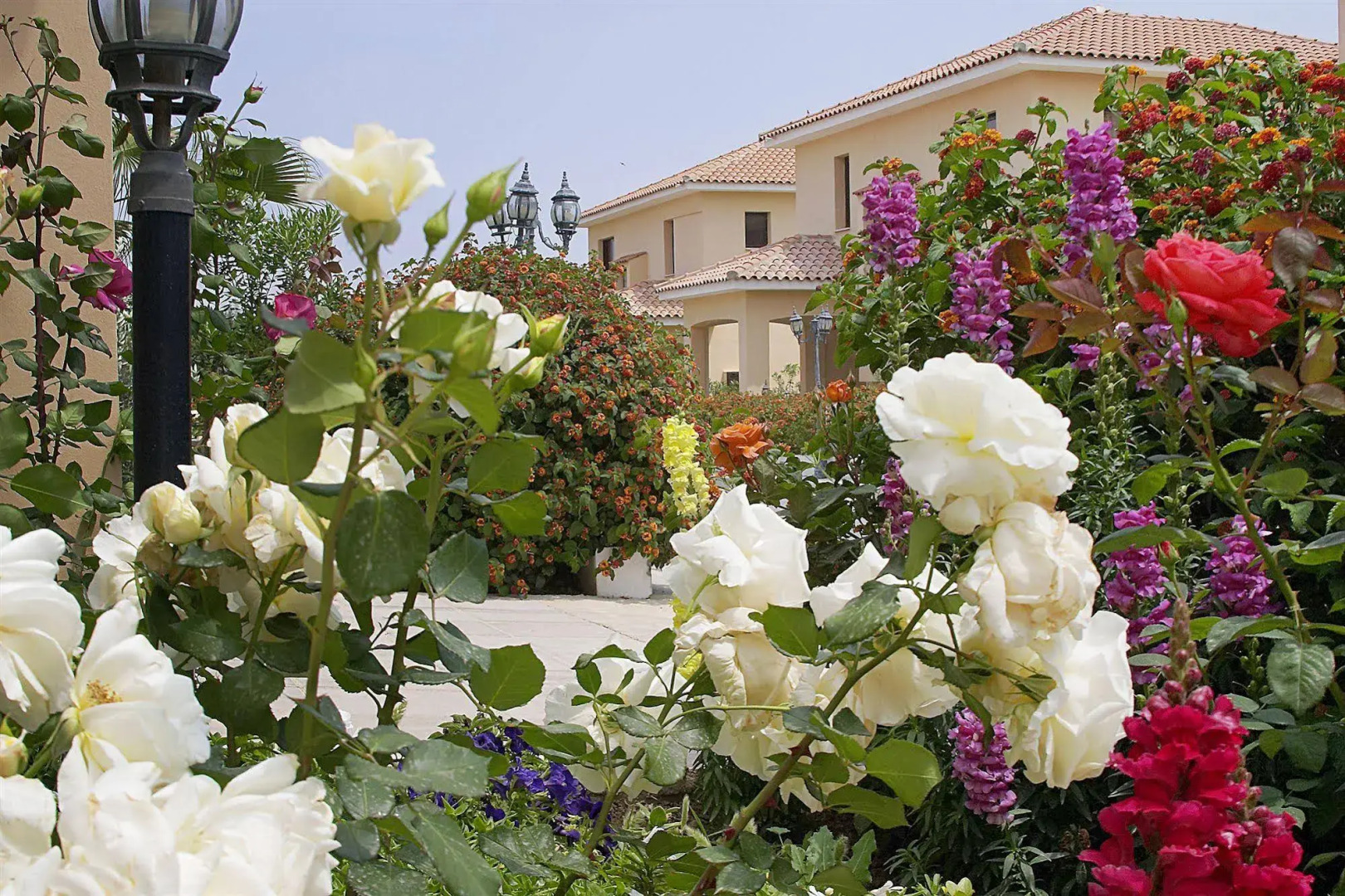 Reginas Exclusive Villas