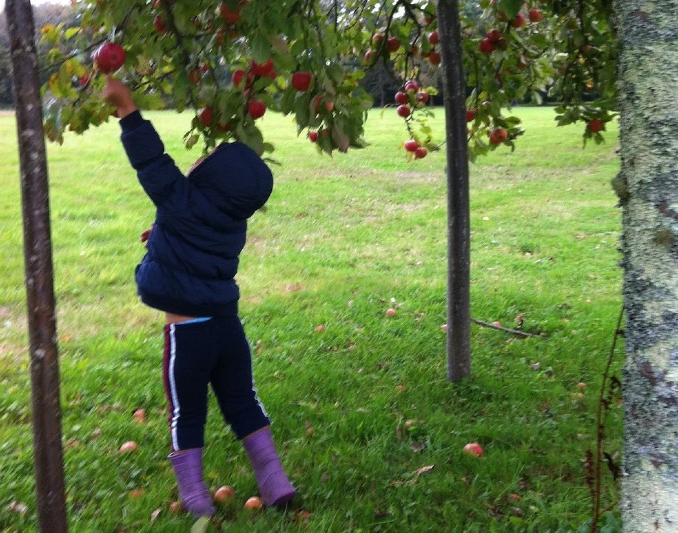 Gîte De La Ferme De Kereven