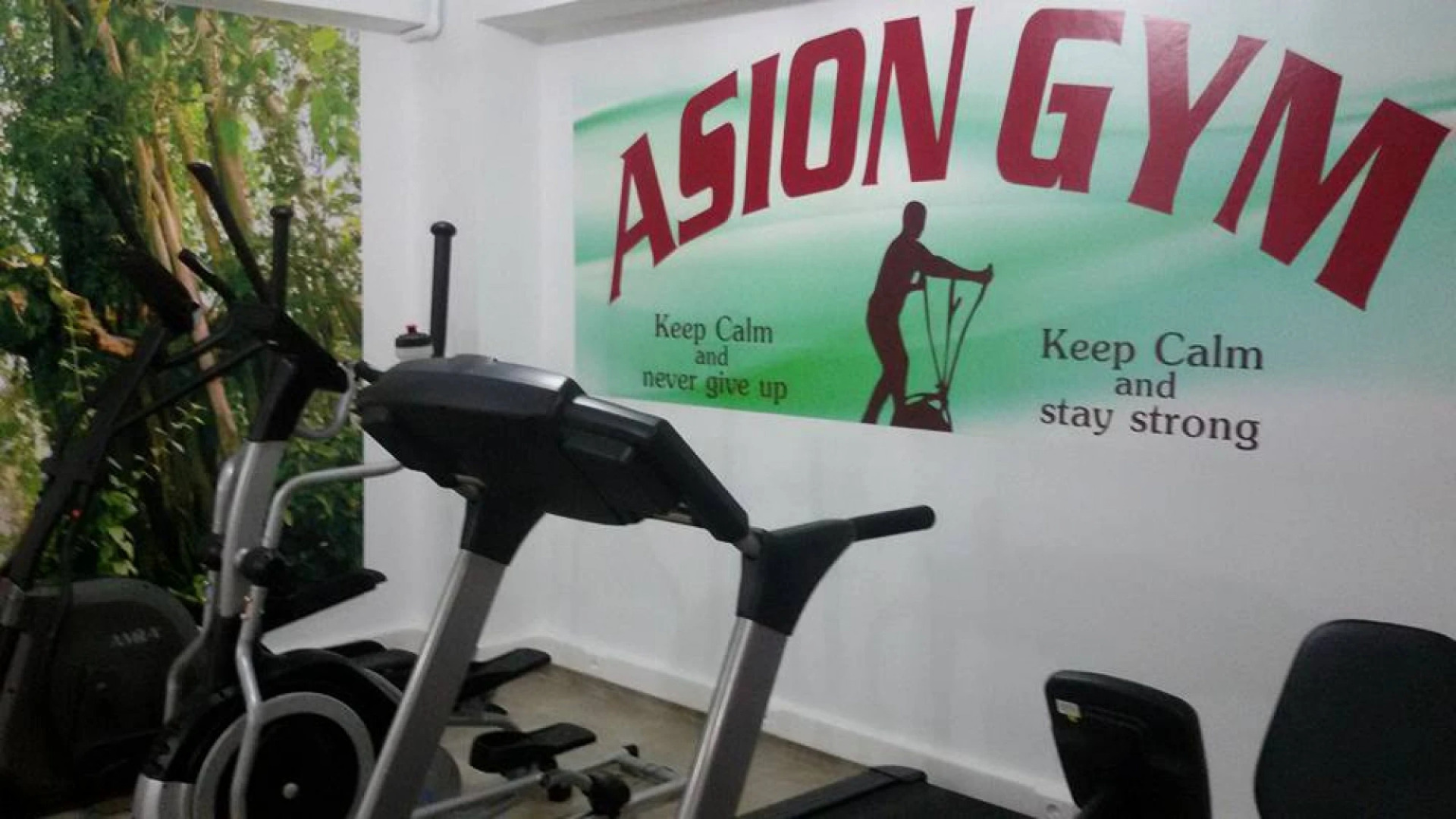 Asion Lithos - Deluxe Studio