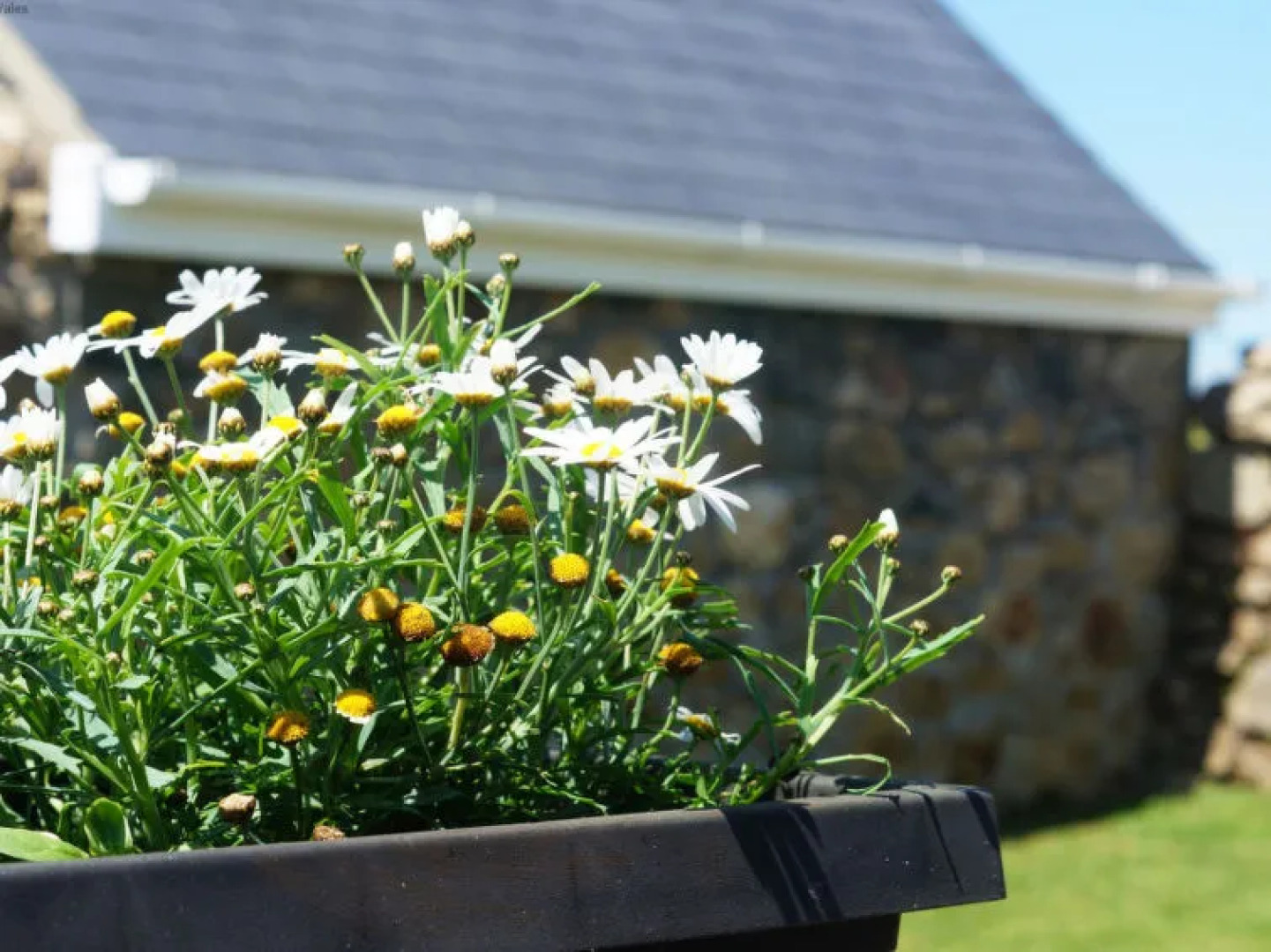 Holiday Home Corlan Wnadl