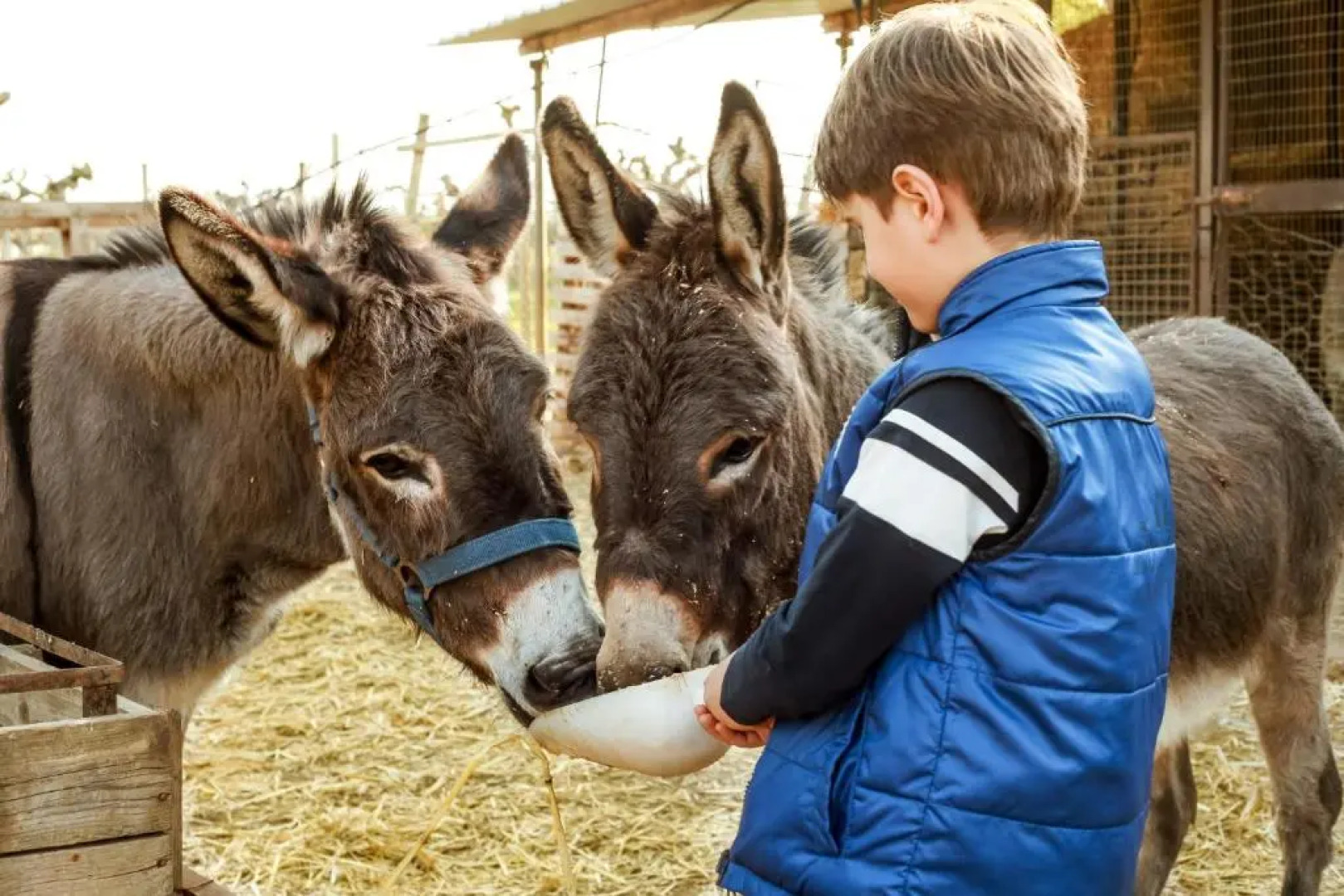 Azienda Agrituristica Il Pago