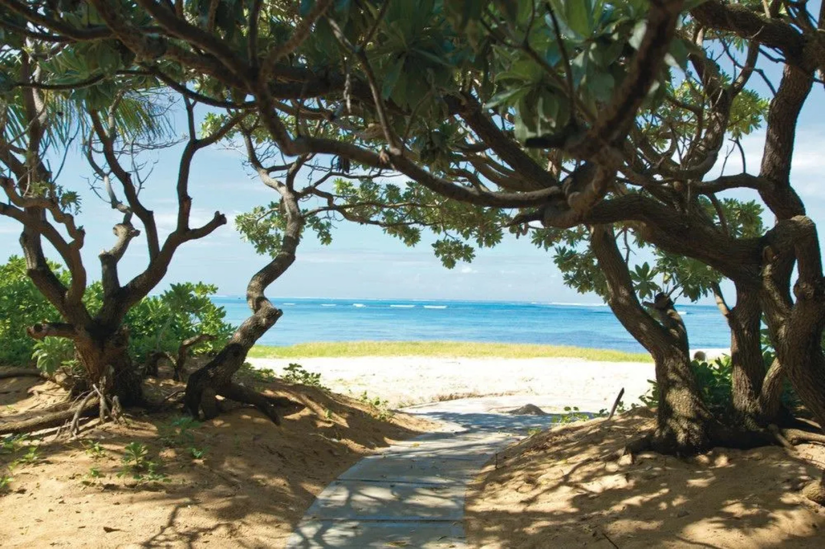 Riu Coral – All Inclusive