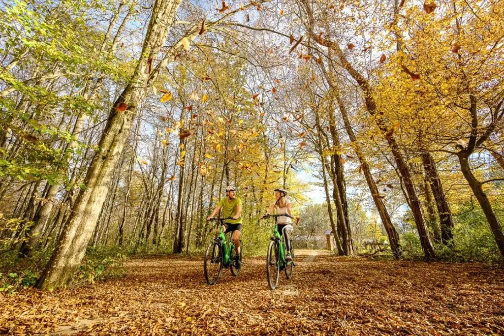 Gasthof Wagner Restaurant-Pension