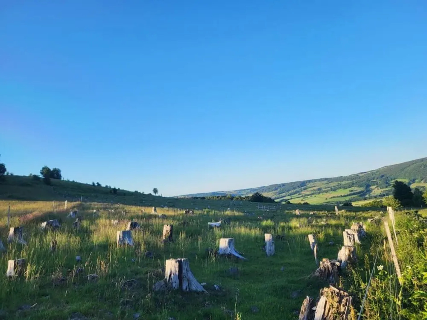 Holiday Home Birx Rhon