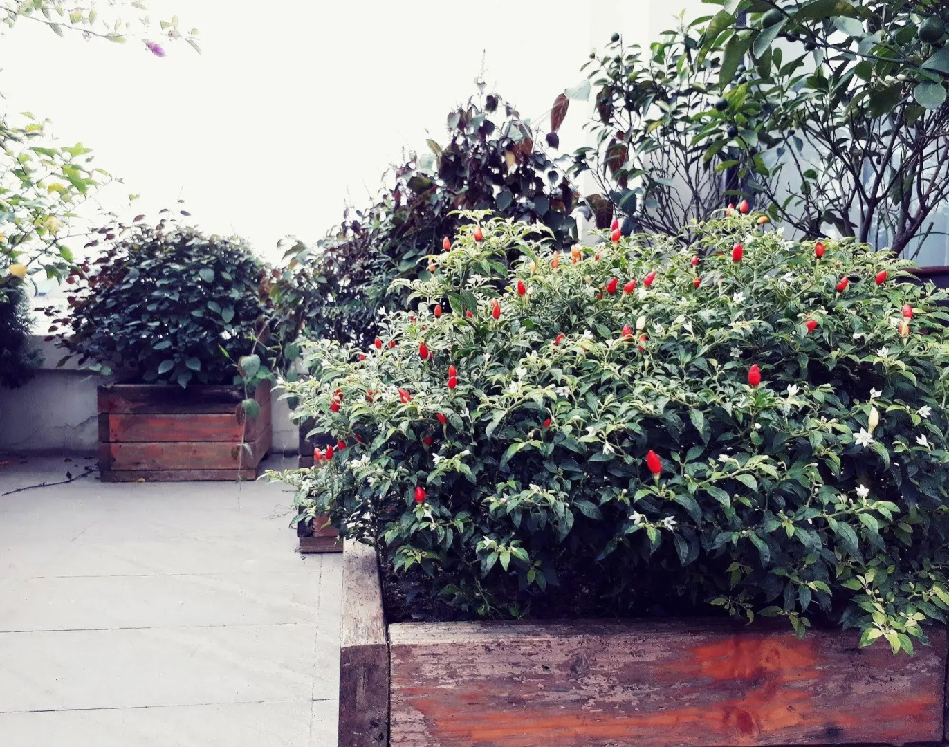 The Ann Hanoi Hotel & Spa