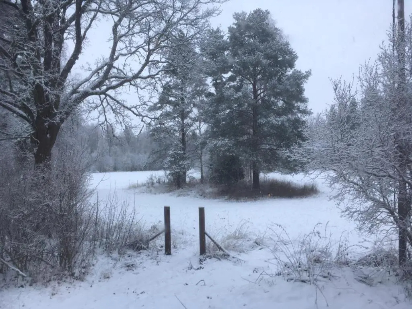 Amazing Country House Forest and Ocean Near