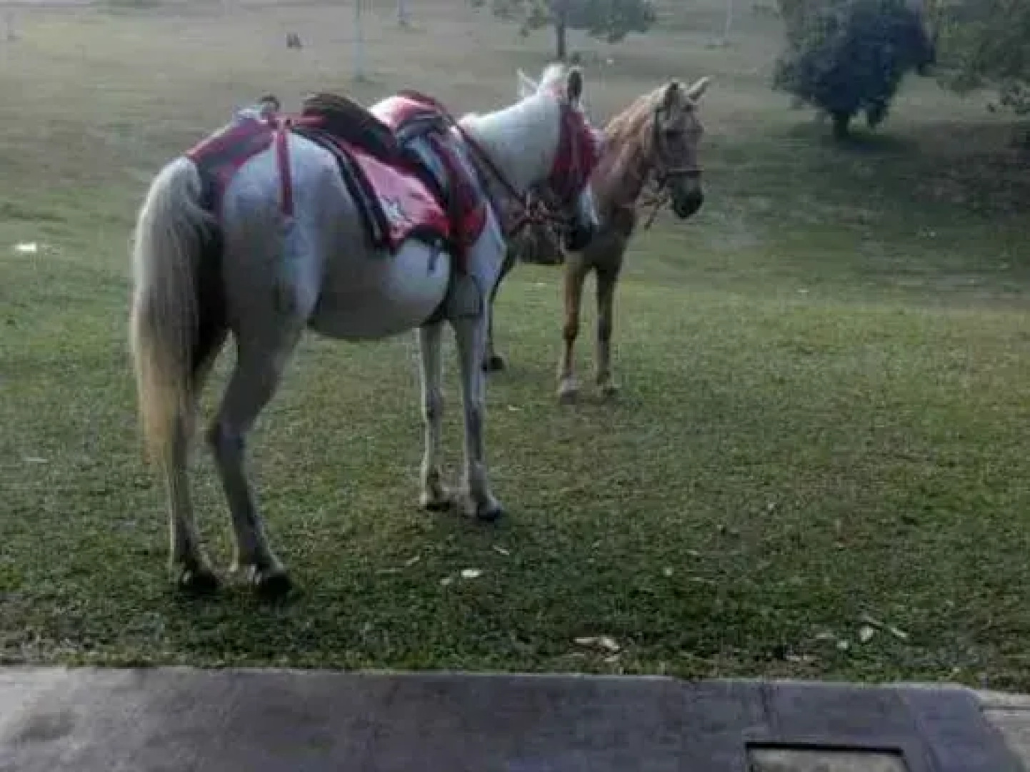 Villa Ciater Highland