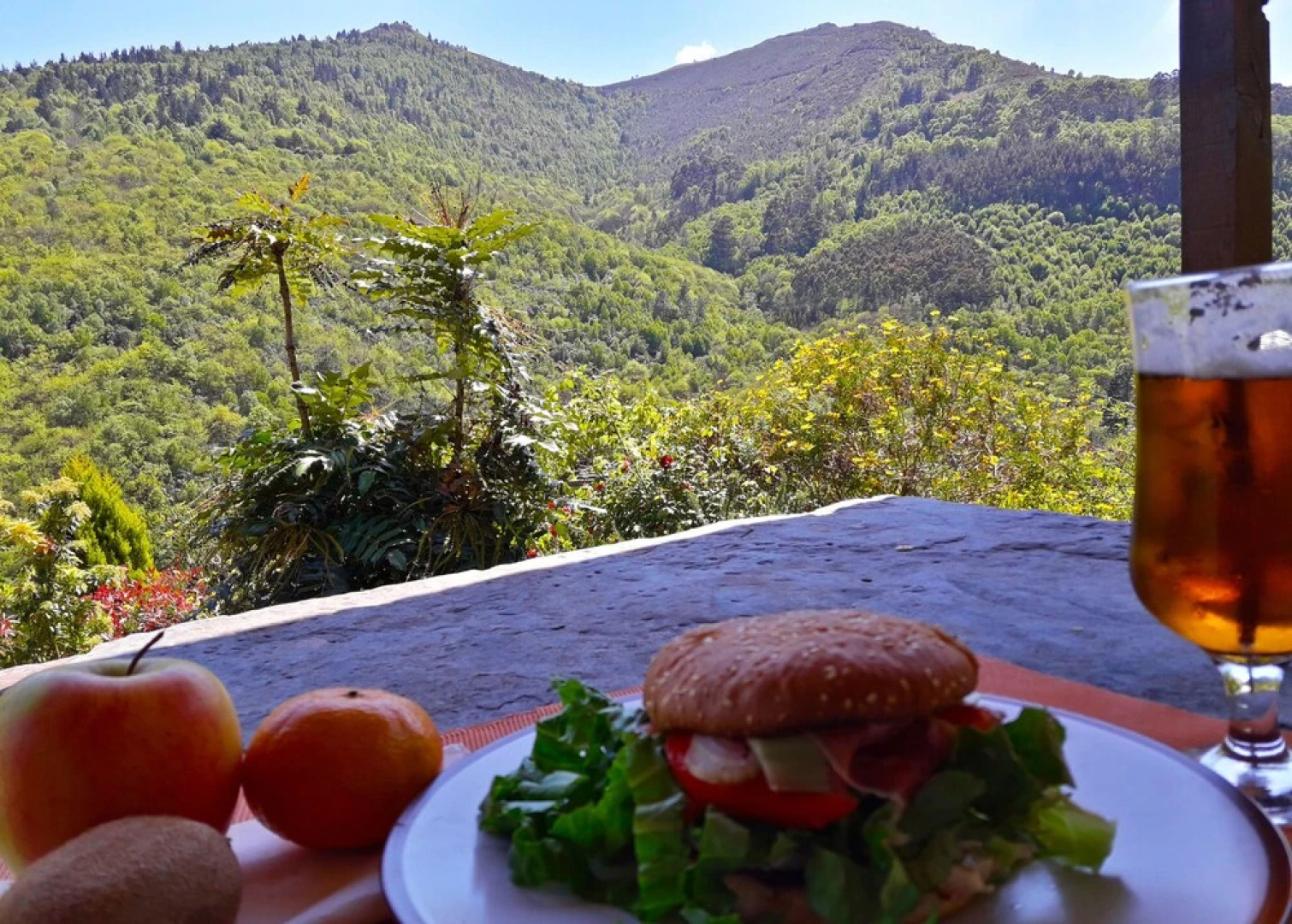 El Bosque de las Viñas