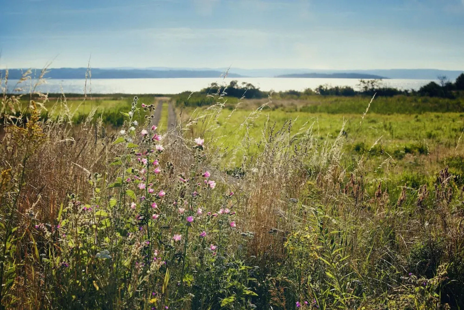 Pensionat Strandkullen