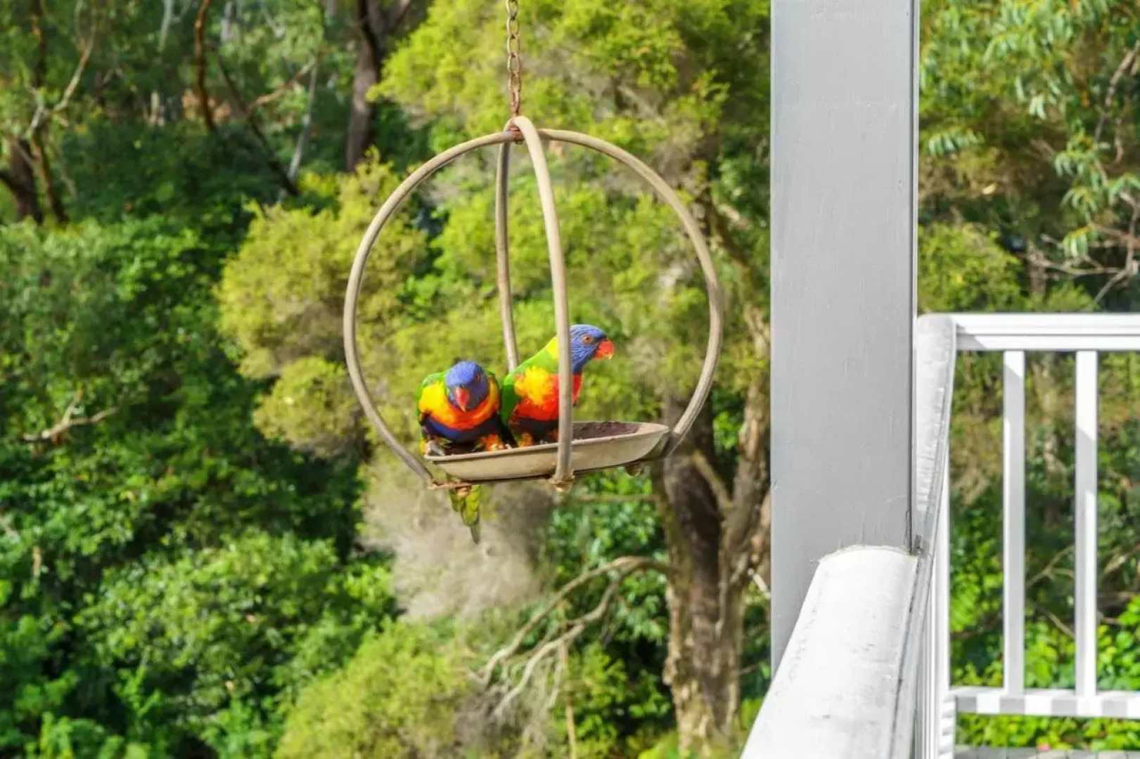 24 Hyam Road Hyams Beach