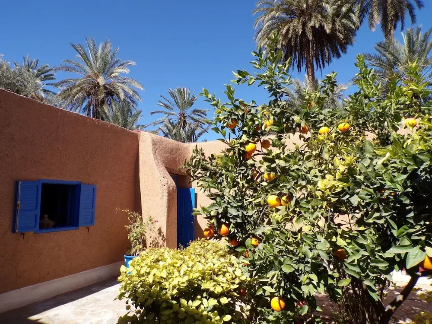 La Maison de l'Homme Bleu