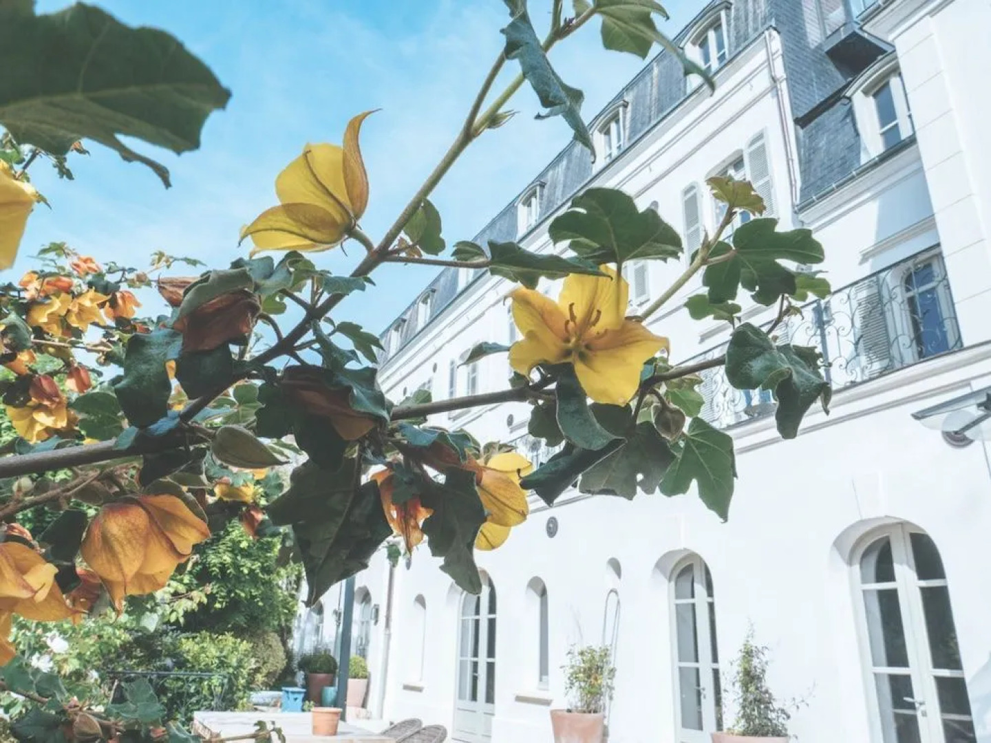 Les Tilleuls Etretat