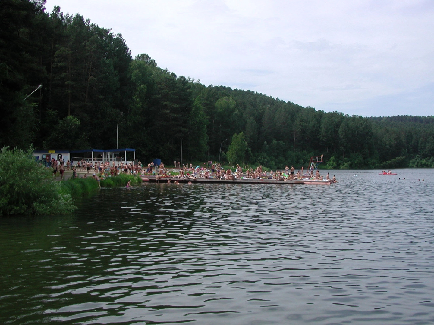 Кедровый бор