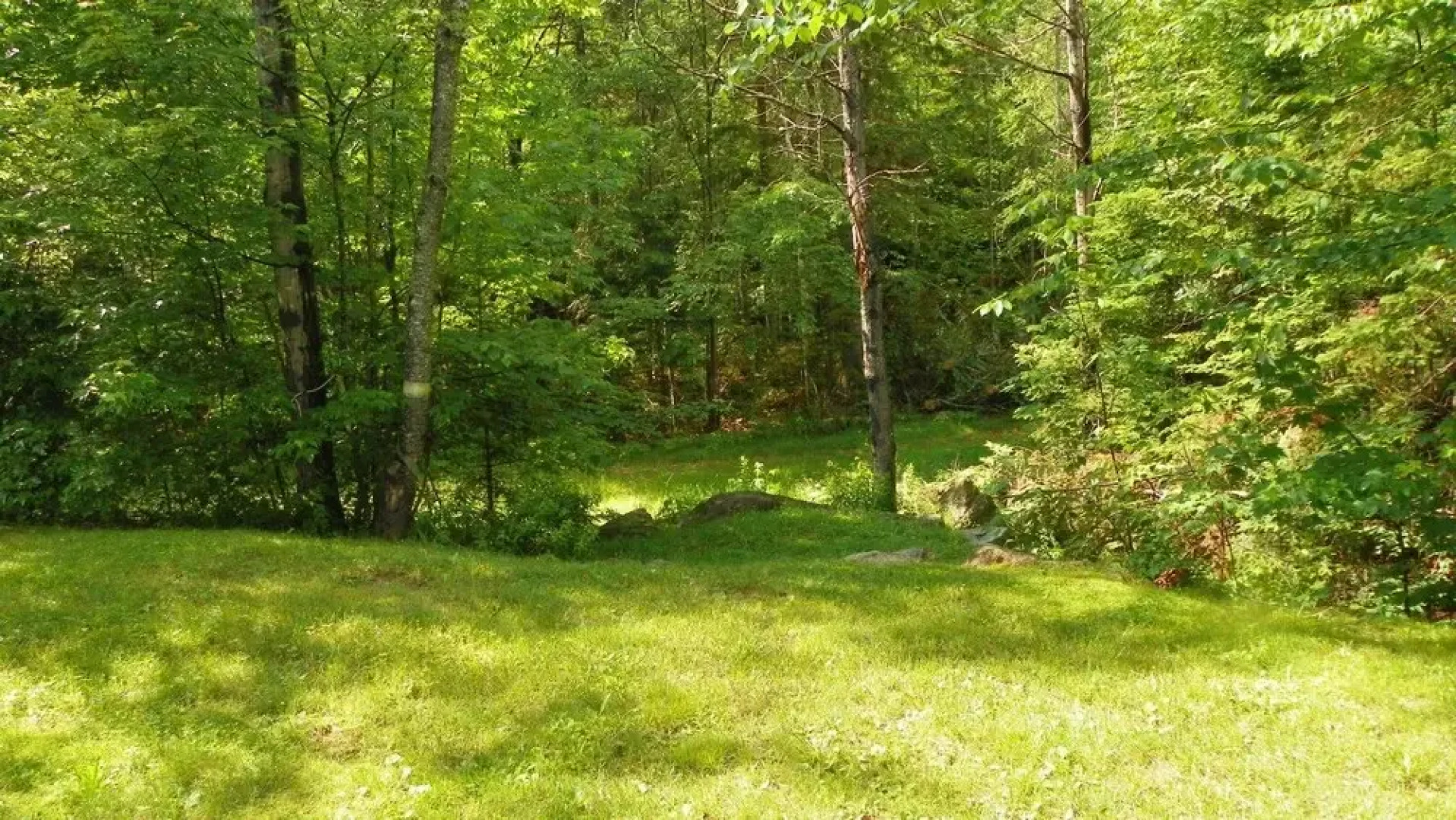 Mountain Brook 1, Waterville Valley