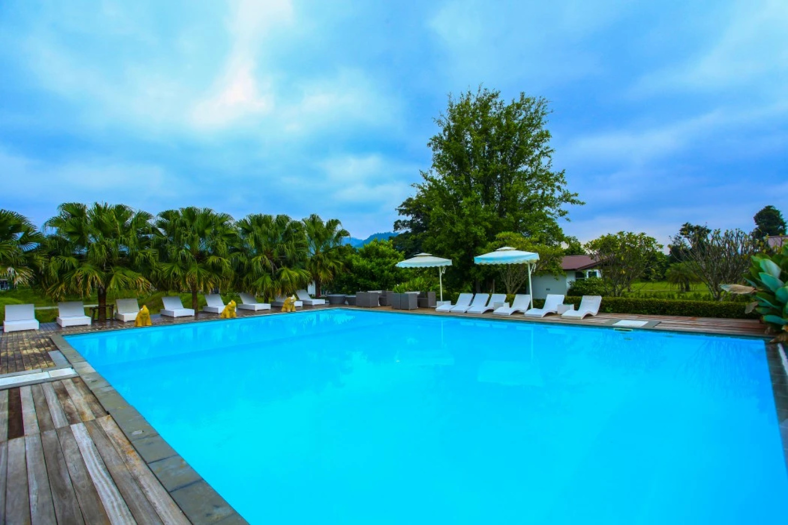 The Bloom by TV Pool