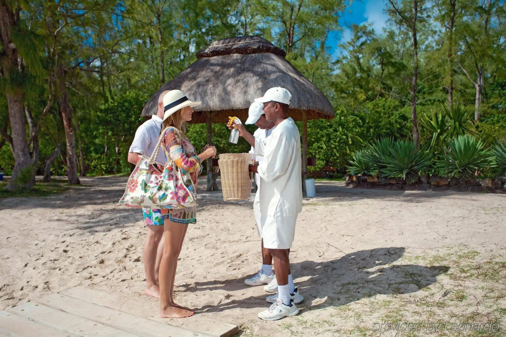 Tropical Attitude - Adults only