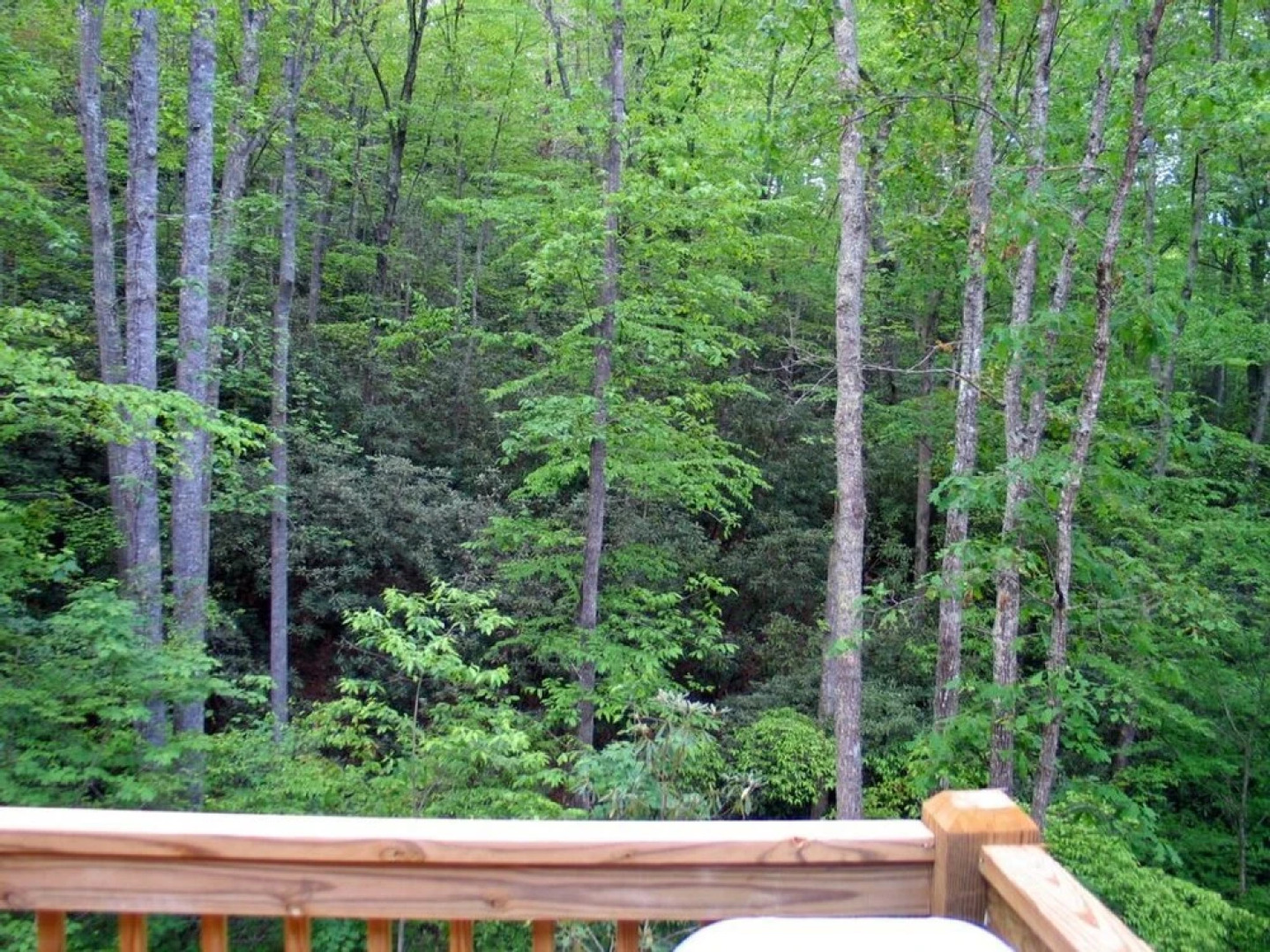 Rooster Ridge Cabin Holiday home 2 BestStayz.1