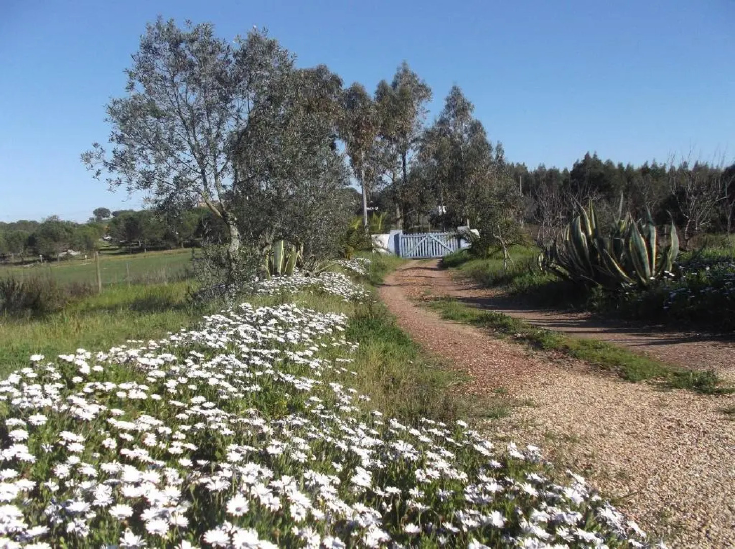 Courela do Salgueiro